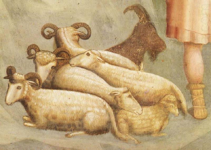Detail of Birth of Christ, GIOTTINO (Giotto di Stefano)